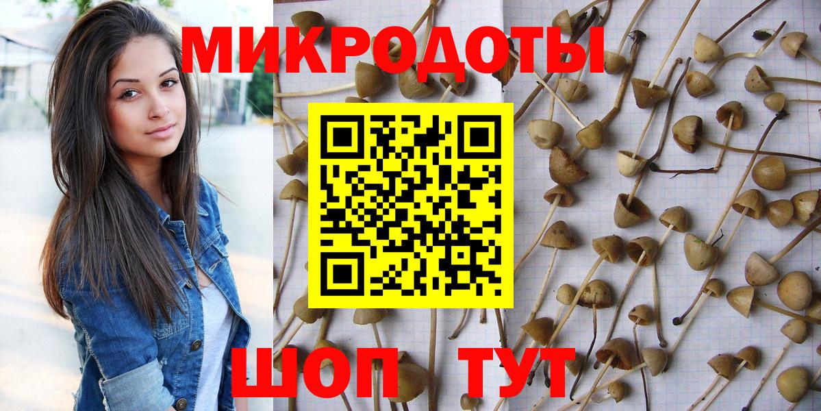 Псилоцибиновые грибы GOLDEN TEACHER  Вход с VPN  Владимир  купить наркоту  Псилоцибиновые грибы Psilocybe 